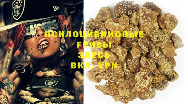 это состав  Славянск-на-Кубани  Псилоцибиновые грибы Magic Shrooms 